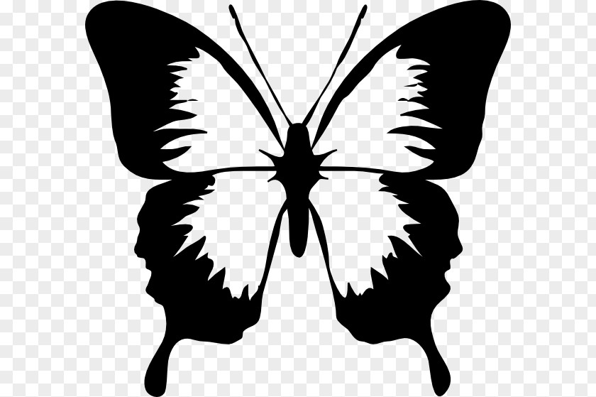 Clip Art Openclipart Butterfly Vector Graphics Free Content PNG