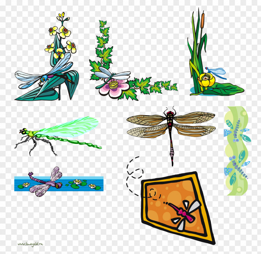 Dragonfly Clip Art Image JPEG PNG