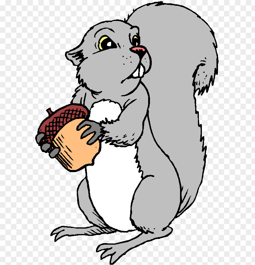 Eastern Gray Squirrel Red Clip Art The Western PNG