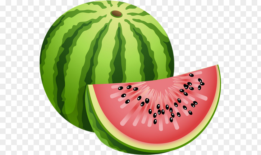 Fruit In Water Watermelon Clip Art PNG