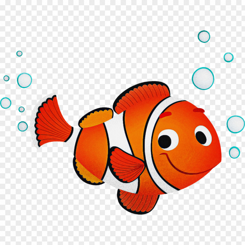 Anemone Fish Clownfish Cartoon PNG