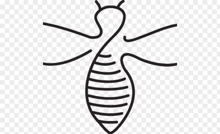 Bee Clip Art Melipap Apiary Bumblebee Vector Graphics PNG