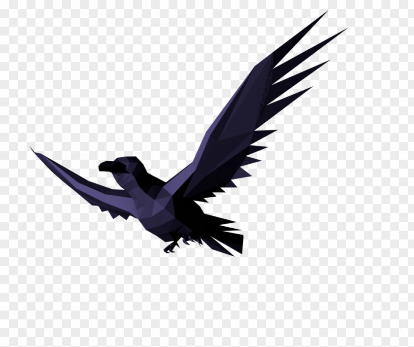 Bird Animated Film Feather BloodyLife Wing PNG