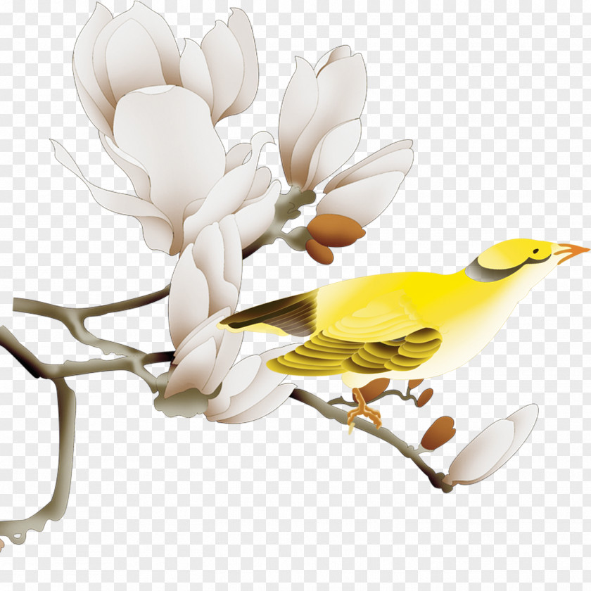 Birds And Flowers White Yellow PNG