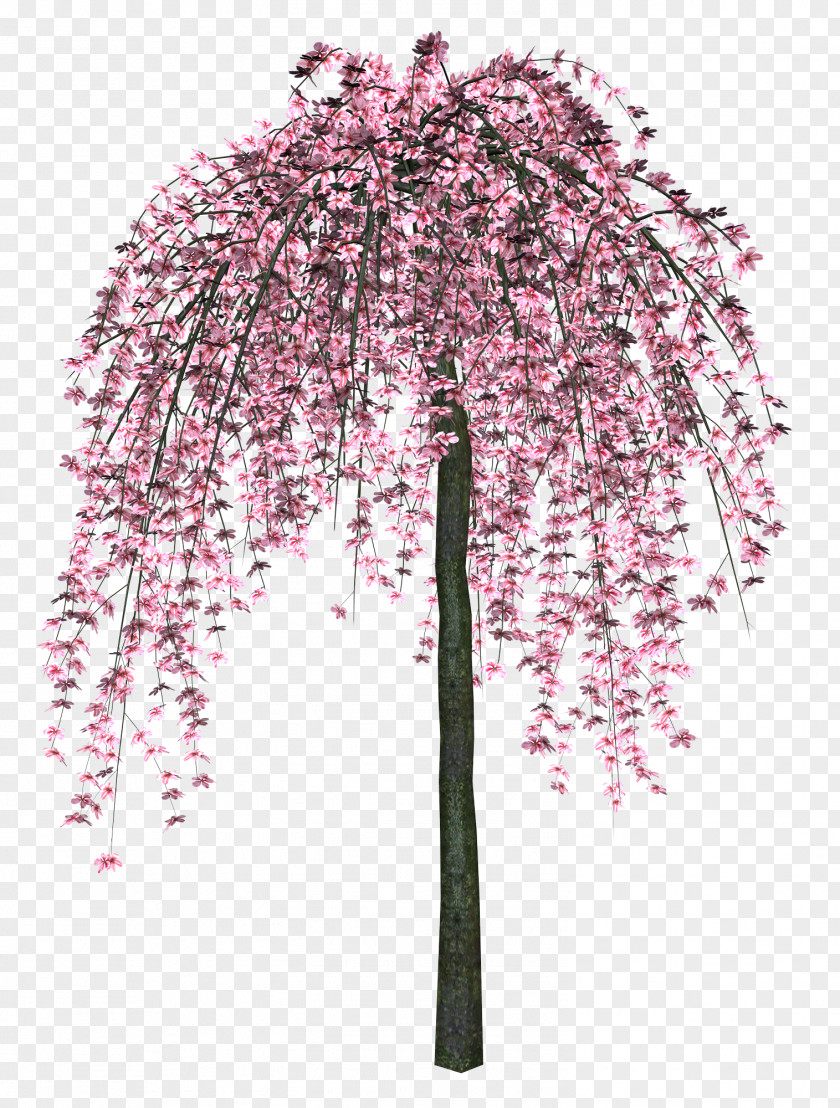 Flower Tree Clip Art PNG