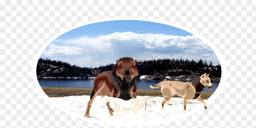 Horse Dog Cattle Wildlife Mammal PNG