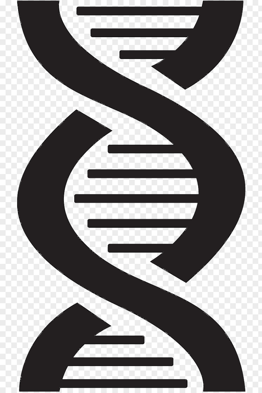 Nucleic Acid Double Helix Backstreet Boys DNA Vector Graphics PNG