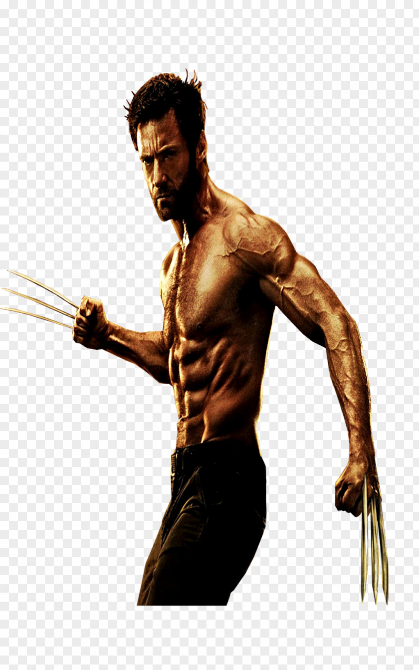 Wolverine X-Men DeviantArt PNG