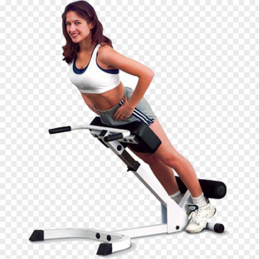 Abs Hyperextension Roman Chair Exercise Machine Bench Press PNG