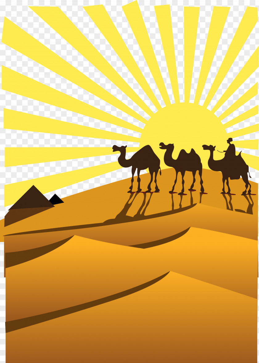 Camel Sahara Desert Clip Art PNG