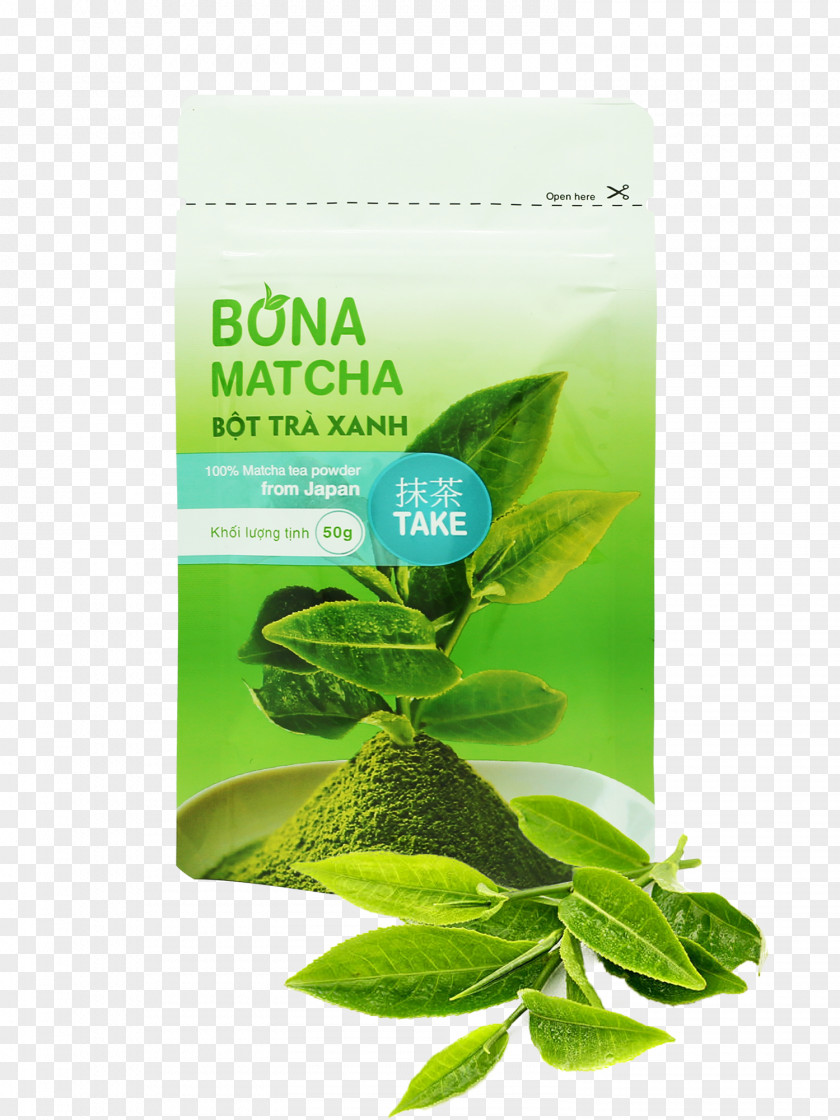 Green Tea Genmaicha Matcha Hōjicha PNG