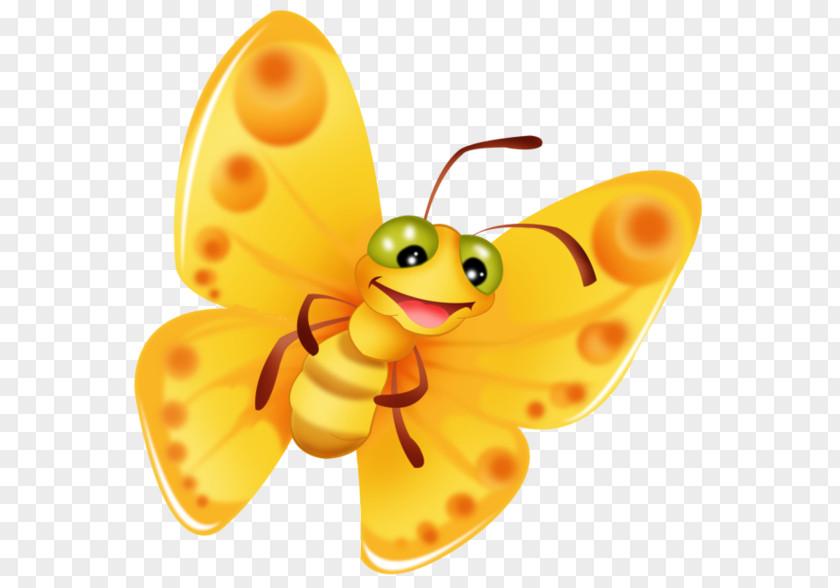 Butterfly Animation Drawing Clip Art PNG