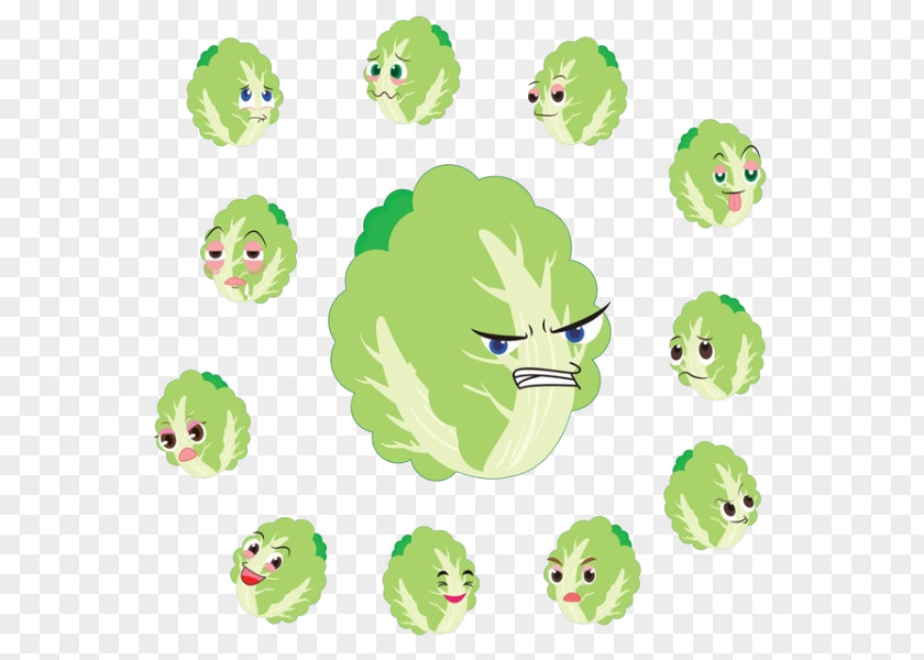 Cartoon Face More Cabbage Chinese Vegetable PNG