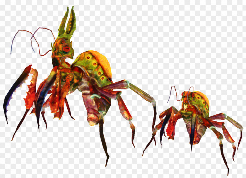 Crayfish Plant Plants Background PNG