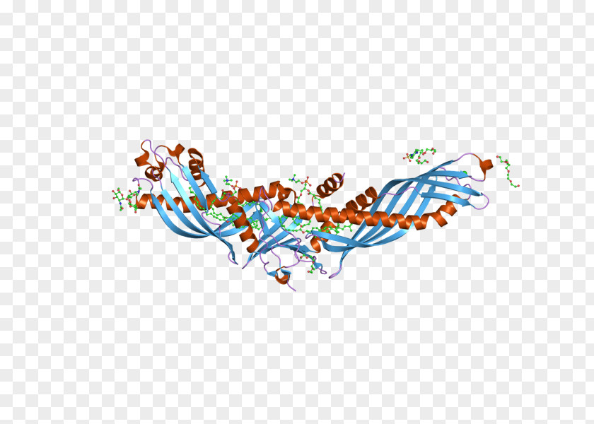 Illustration Graphics Line Point Organism PNG