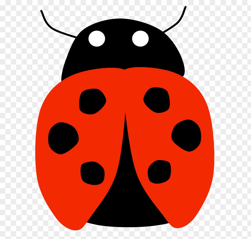 Insect Pest Control Coccinella Septempunctata Clip Art PNG