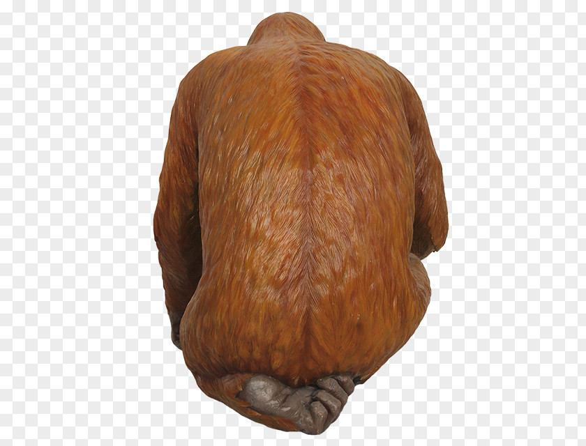 Orangutan Wood Fur Snout PNG