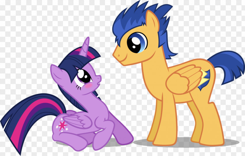 Shining My Little Pony: Equestria Girls Twilight Sparkle Rainbow Dash PNG