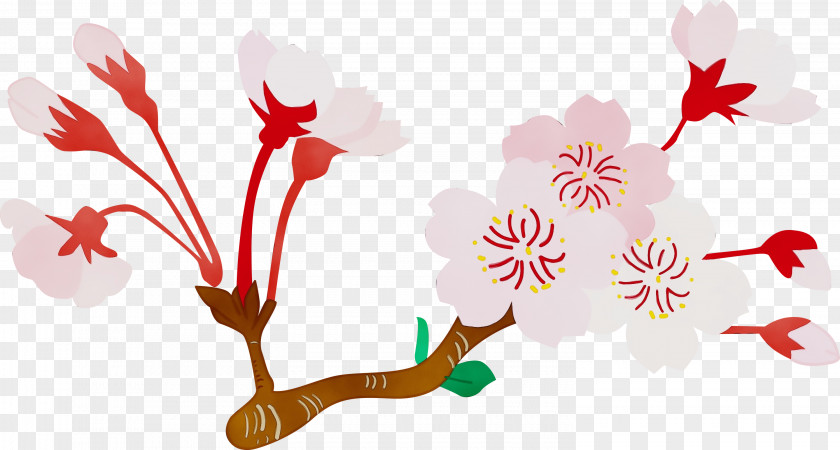 Flower Plant Pedicel Branch Stem PNG