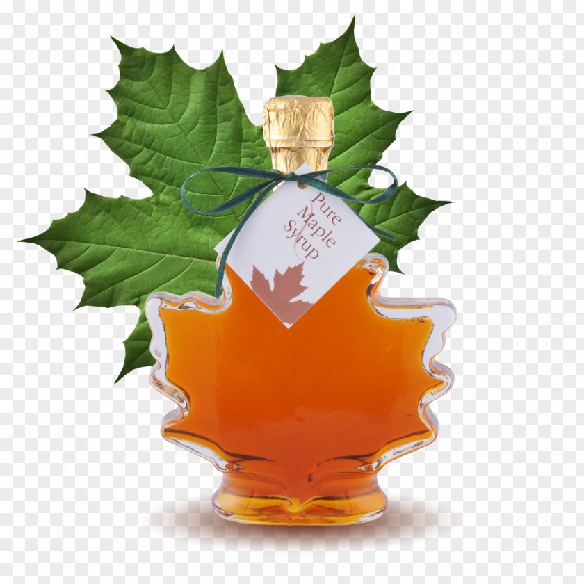 Lemonade Maple Syrup Juice PNG