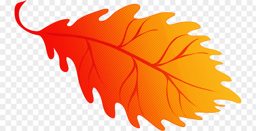 Maple Leaf PNG