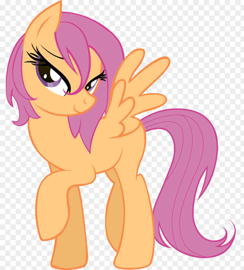 My Little Pony Rainbow Dash Twilight Sparkle Rarity Pinkie Pie PNG