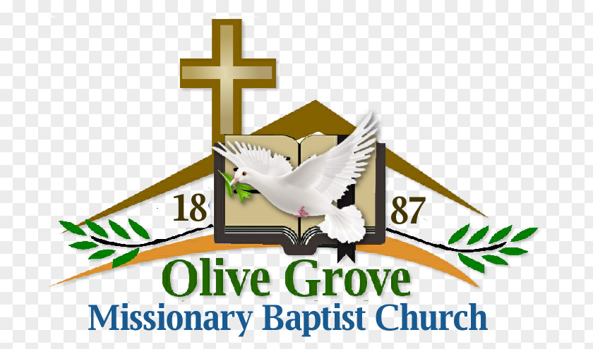 Olive Grove Logo Image Religion Brand Missionary PNG