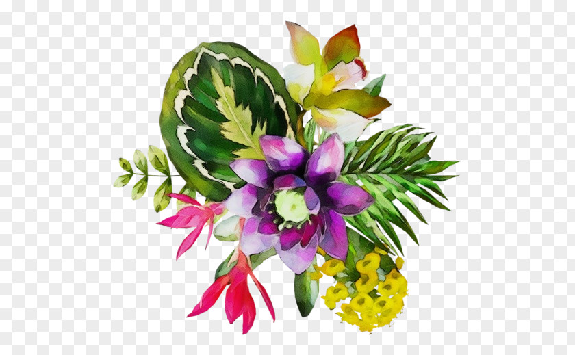 Petal Floral Design PNG