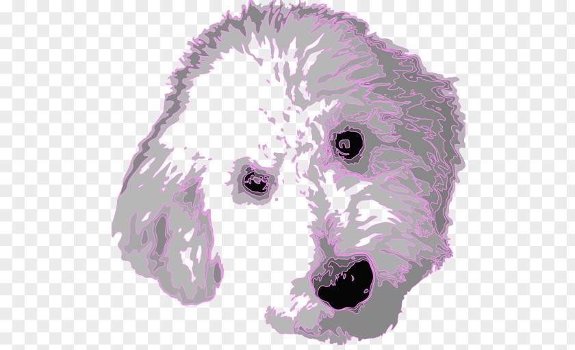 Puppy Poodle Goldendoodle Dog Breed Grooming PNG