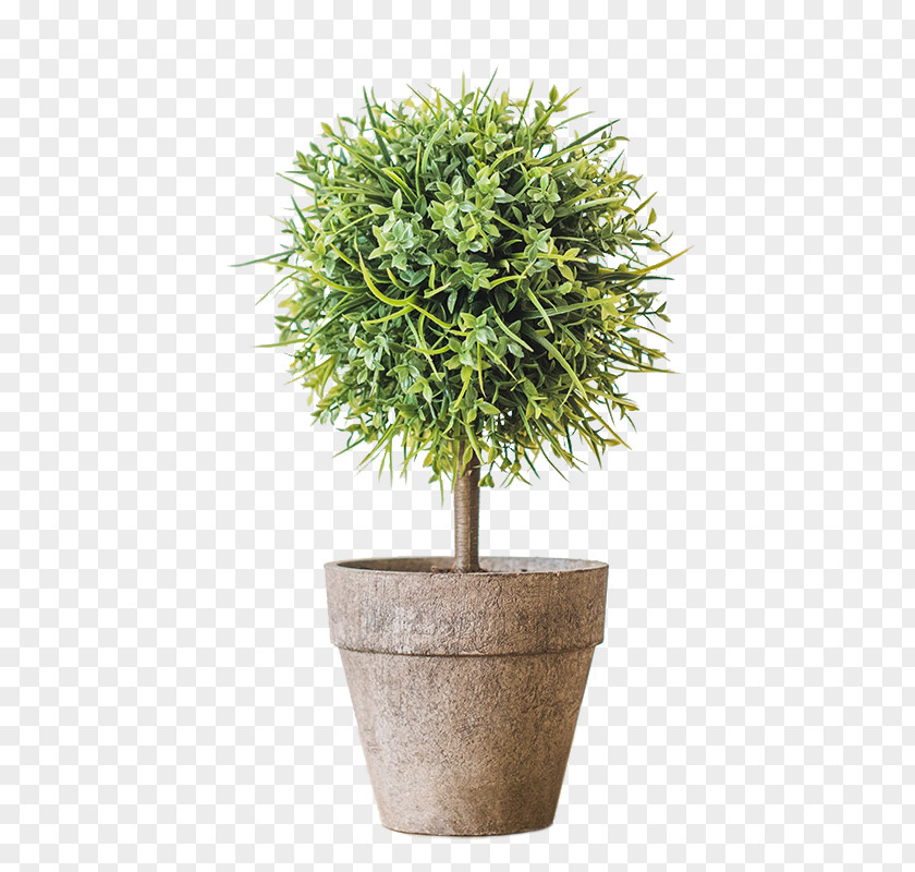 Simulation Bonsai Tree Ball Flowerpot Houseplant 2016 BMW M5 PNG