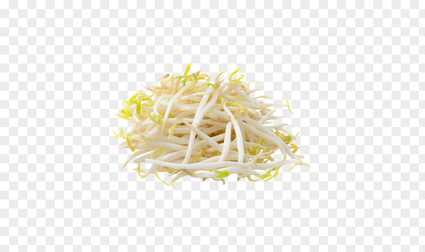 Vegetable Alfalfa Sprouts Soybean Sprout Namul Sprouting PNG