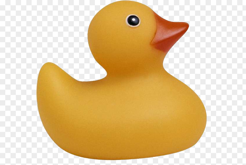 Duck Rubber Toy Clip Art PNG