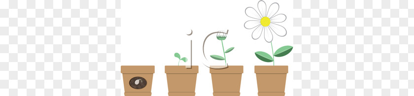 Flower Growing Cliparts Flowerpot Clip Art PNG