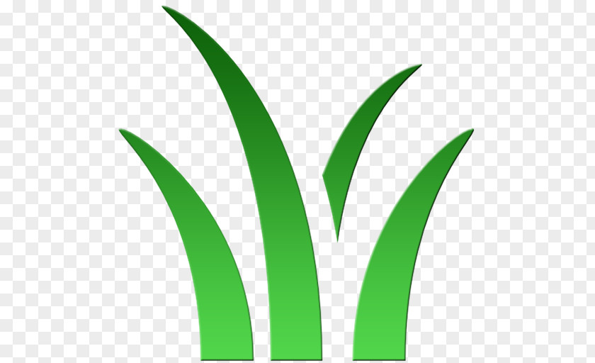 Landscape Logo Hard Materials Brand Leaf PNG