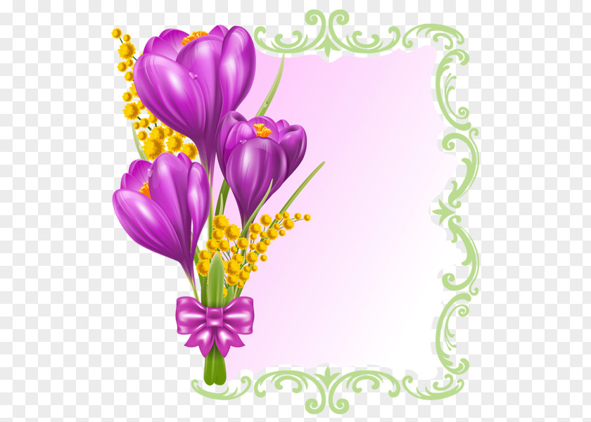Sprin Borders And Frames Picture Best Clip Art PNG