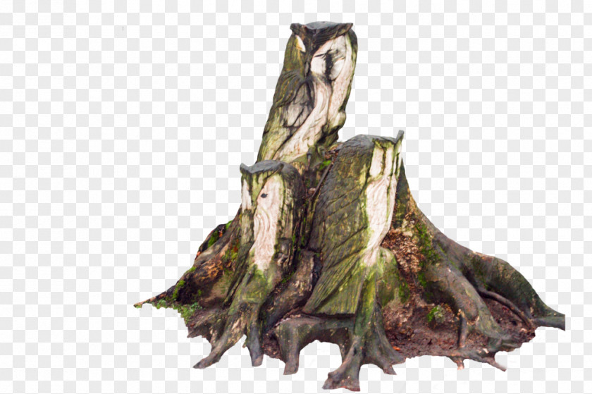 Stump Tree Trunk PNG