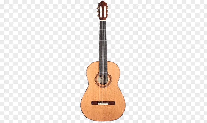 Acoustic Guitar Ukulele Ibanez Classical PNG