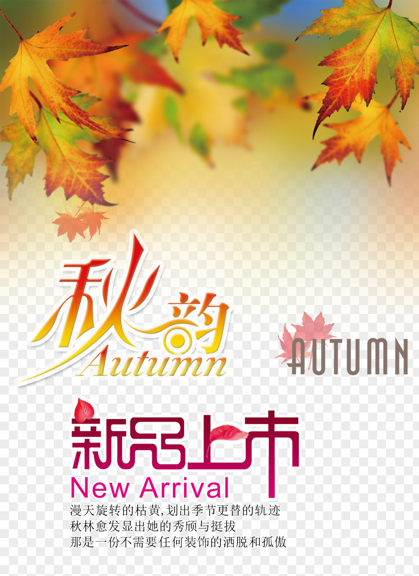 Autumn Leaf Color Tree Wallpaper PNG