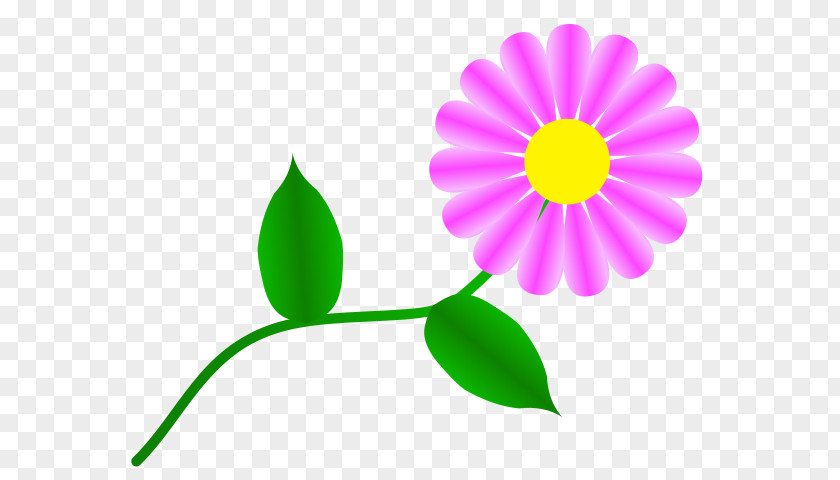 Daisy Images Transvaal Common Free Content Clip Art PNG