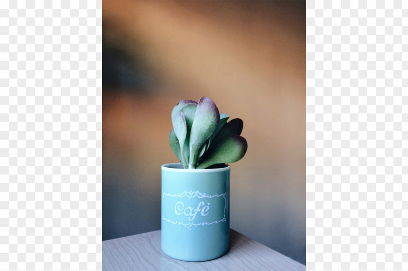Flower Ceramic Flowerpot PNG