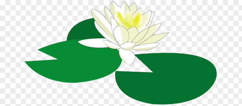 Flower Water Lily Floral Design Clip Art PNG