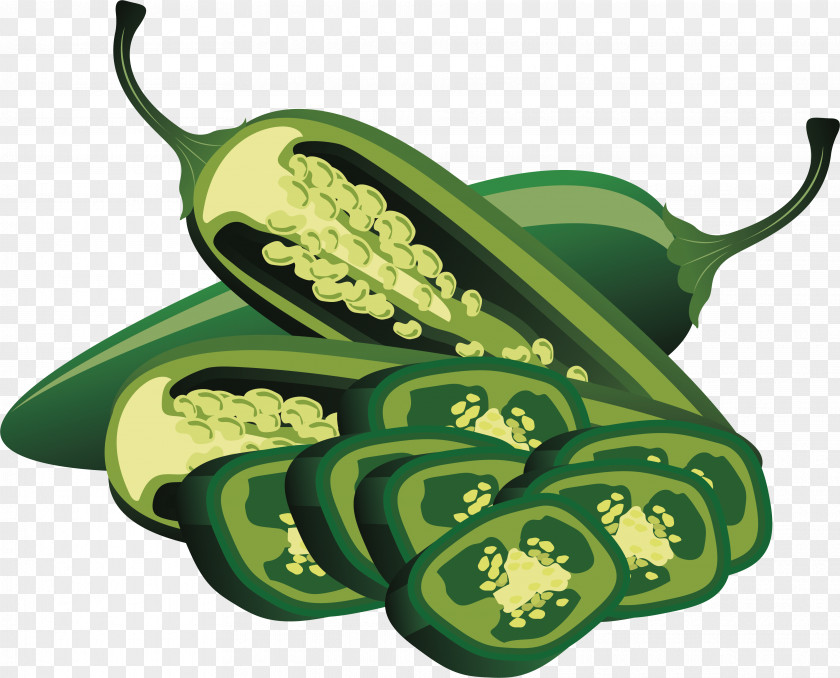 Green Pepper Jalapexf1o Bell Poblano Chili PNG