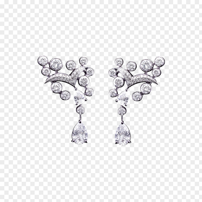Gull Earring Jewellery Clothing Accessories Silver Gemstone PNG