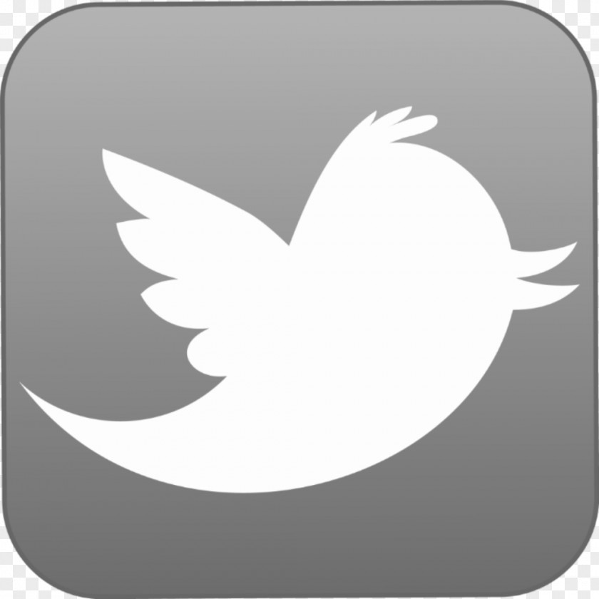 Twitter Organization New York City Logo PNG