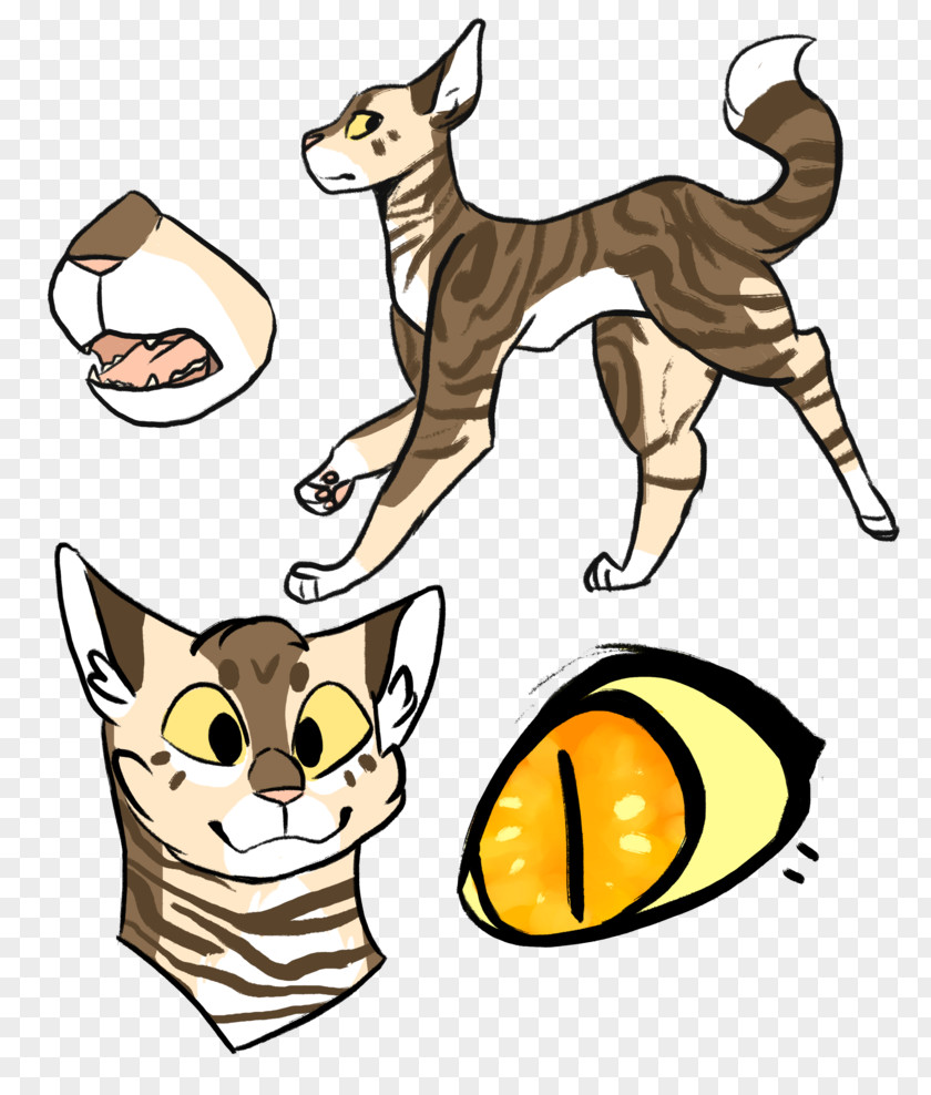 Cat Clip Art Wildcat Whiskers Sylvester PNG