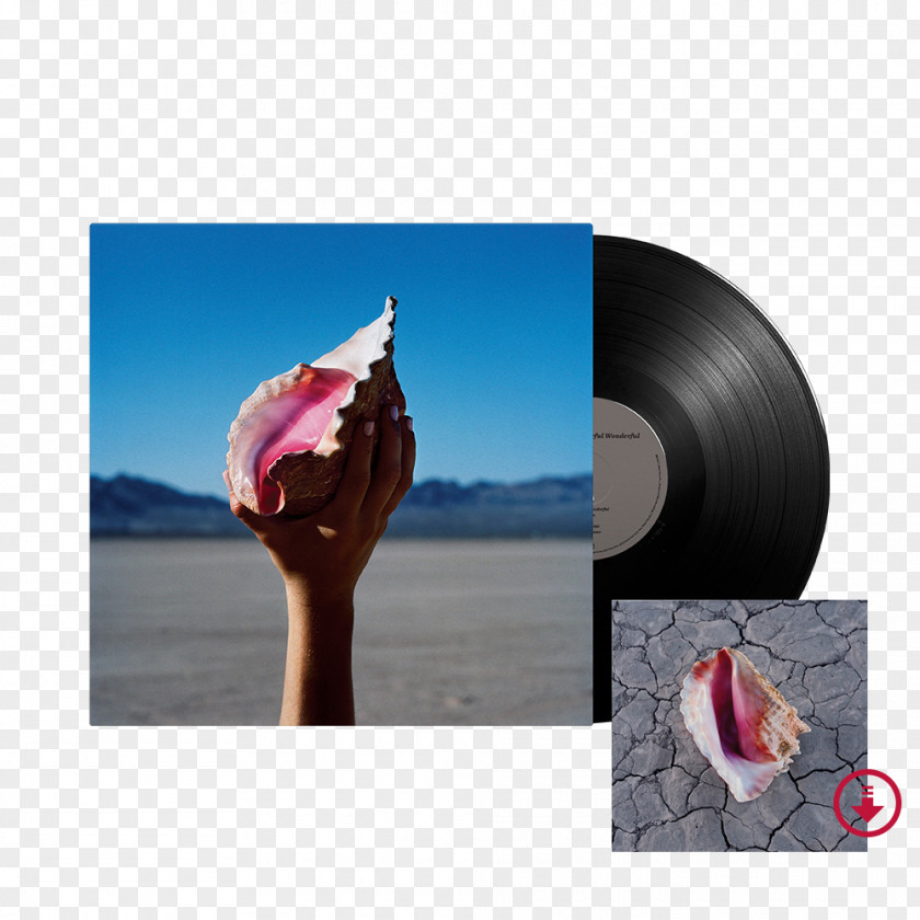 Digital Products Album The Killers Wonderful Hot Fuss Phonograph Record PNG