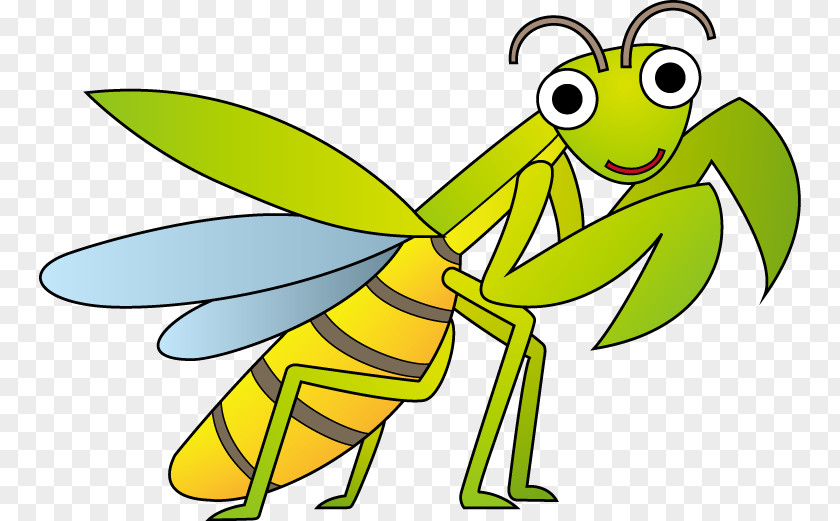 Insect Line Art Cartoon Clip PNG