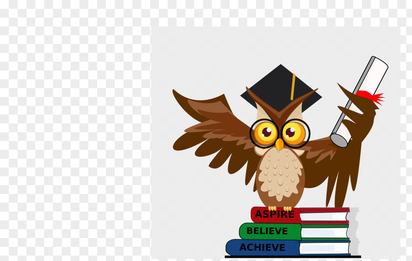 Owl Bird Beak Boy With Book Clip Art PNG