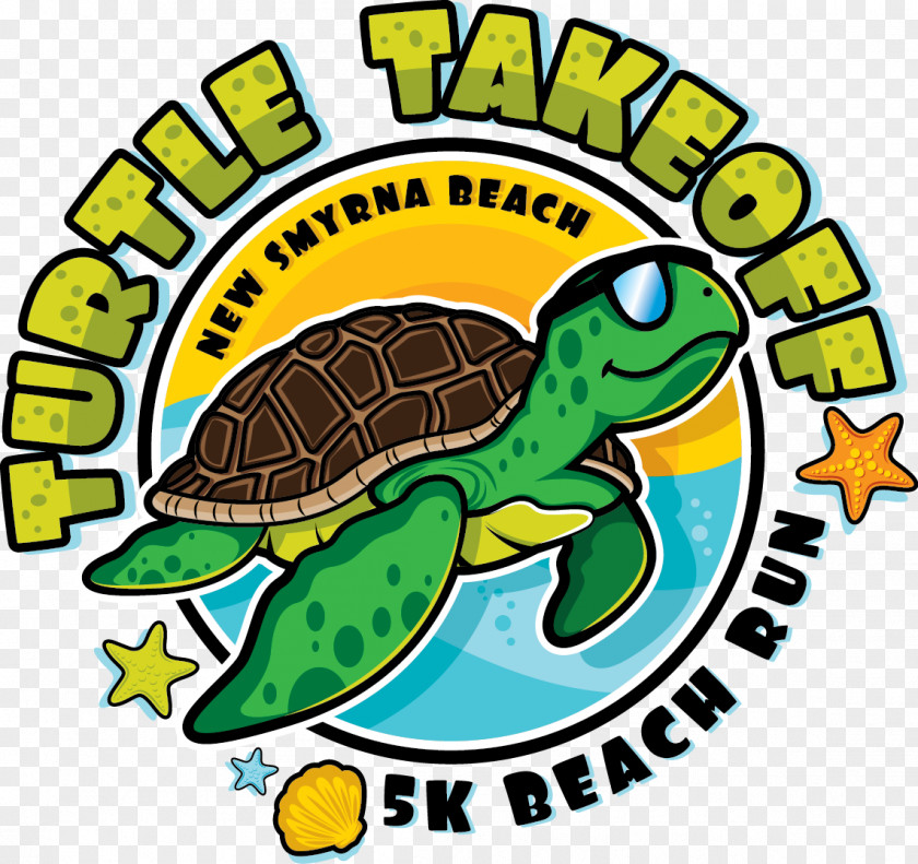 Turtle Donation New Smyrna Beach Reptile 5K Run PNG