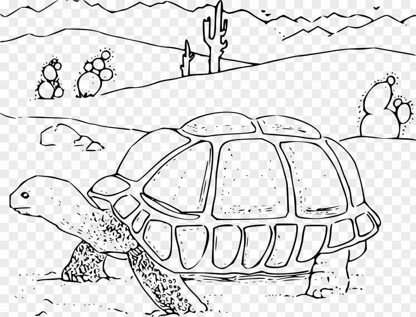 Turtle Sonoran Desert Tortoise Coloring Book PNG